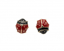 ARETES DE ORO DE CATARINAS