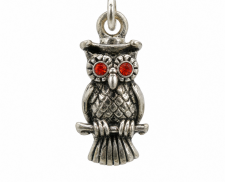 DIJE CON DISEÑO DE BUHÓ DE PLATA 