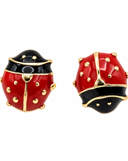 Aretes de Oro de Catarinas