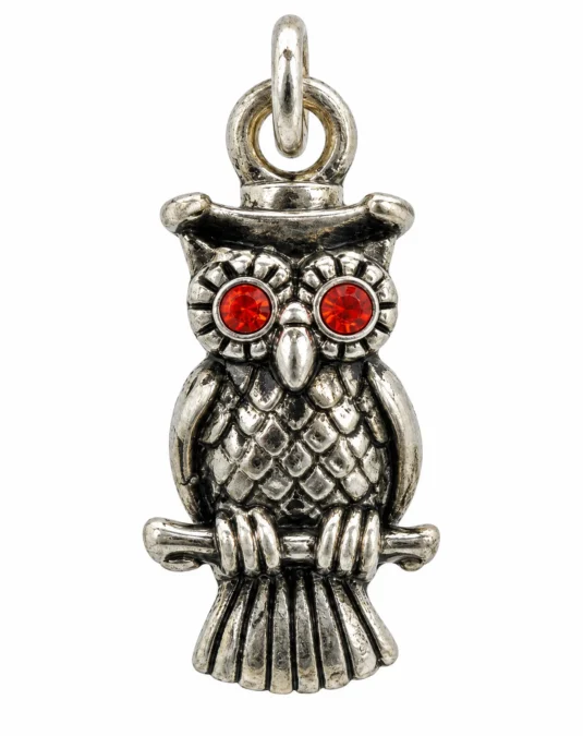 Dije con Diseño de Búho de Plata